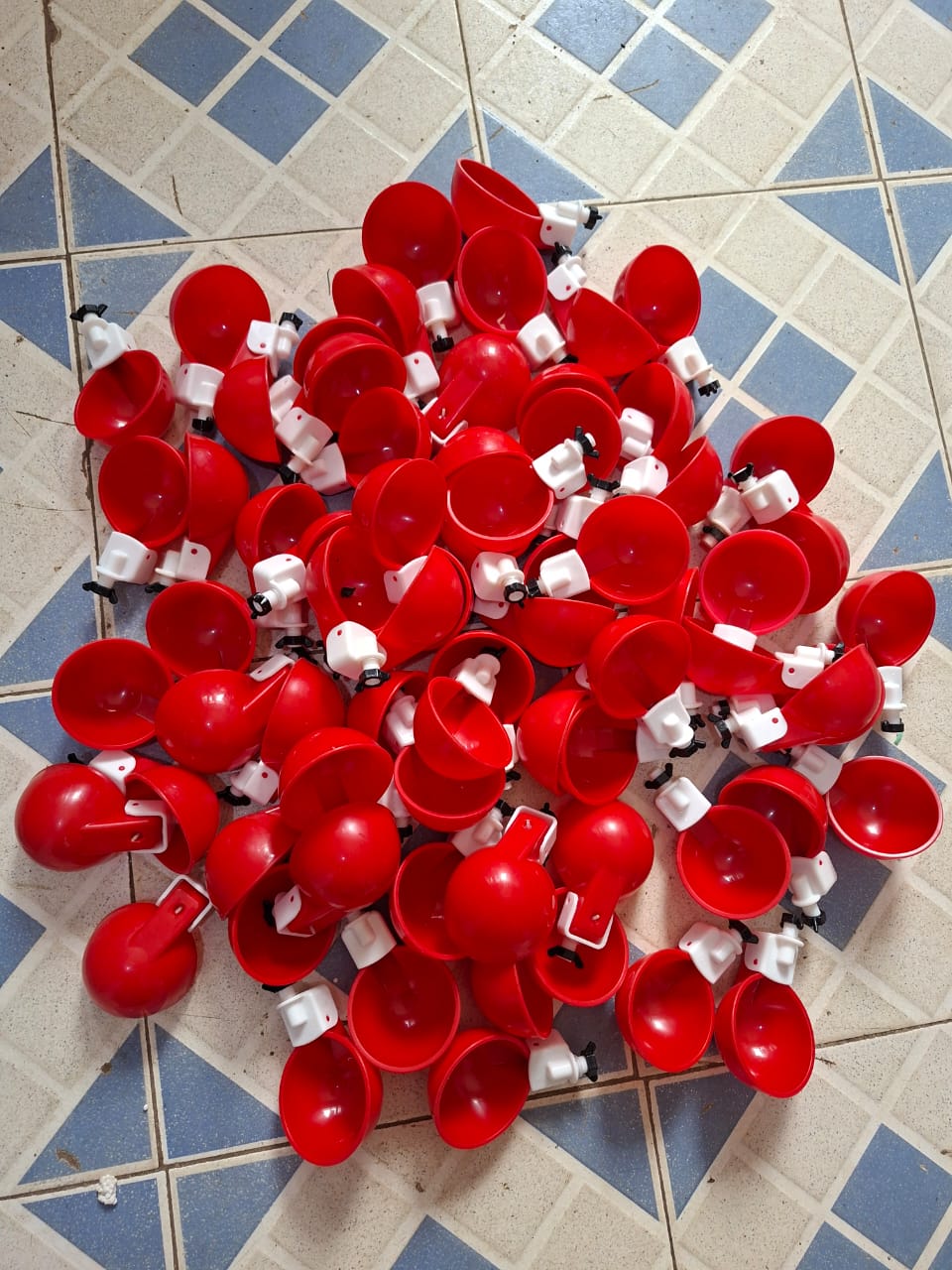 Cup drinker for poultry Kenya