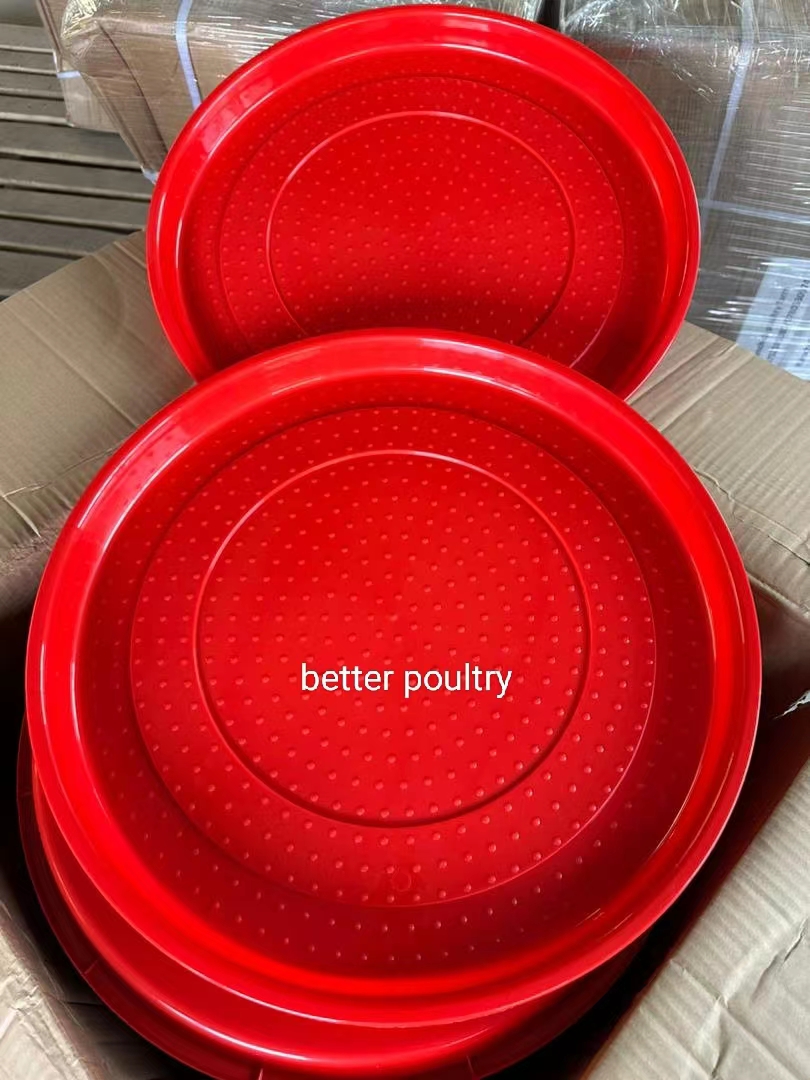 Pan feeders for poultry Kenya