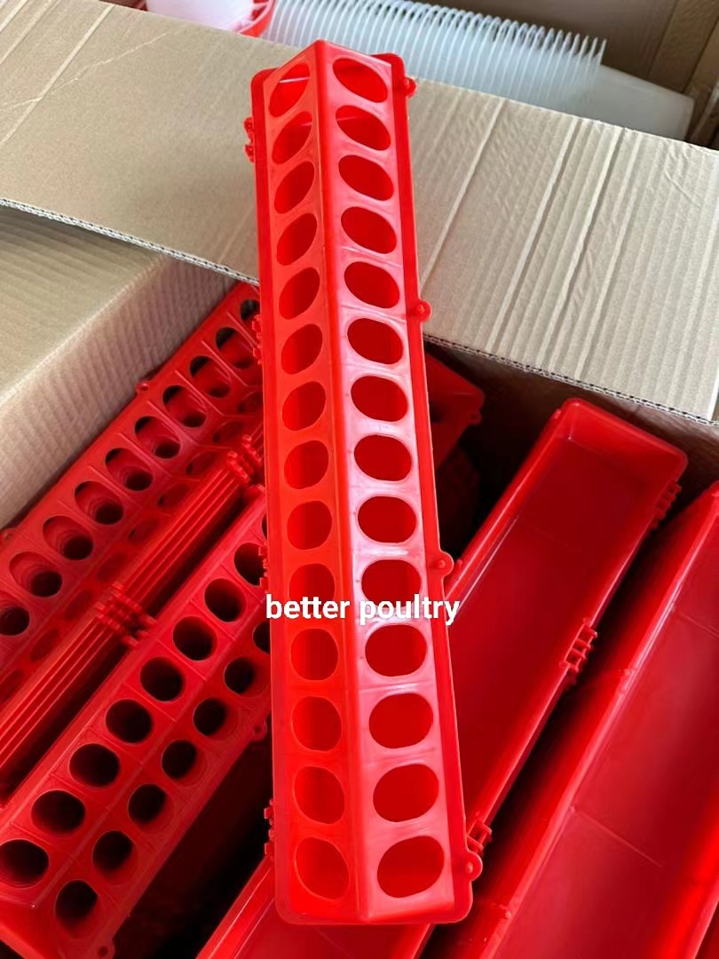 Feeding troughs for poultry Kenya